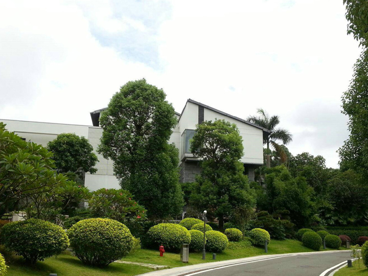 常州绿化托管服务(图1)